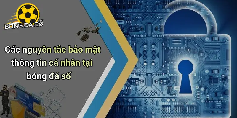 Chính Sách Bảo Mật: Cam Kết Bảo Vệ Thông Tin Người Dùng 2 Chính sách bảo mật