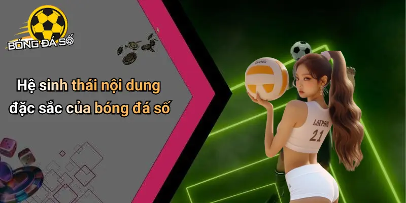 Về Chúng Tôi: Nơi Trải Nghiệm Giải Trí Và Cá Cược Hấp Dẫn 2 Về Chúng Tôi