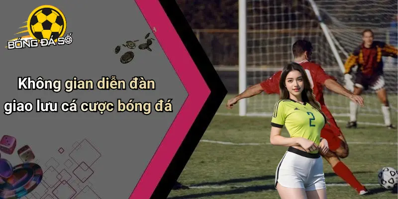 Bóng Đá Số: Cập Nhật Tin Bóng Đá, Soi Kèo Và Kèo Cá Cược 69 Bóng Đá Số