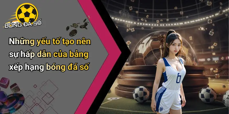 Bảng xếp hạng