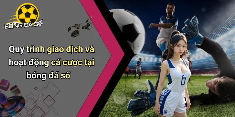 Điều Khoản Điều Kiện