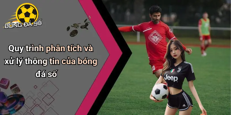 Về Chúng Tôi: Nơi Trải Nghiệm Giải Trí Và Cá Cược Hấp Dẫn 3 Về Chúng Tôi