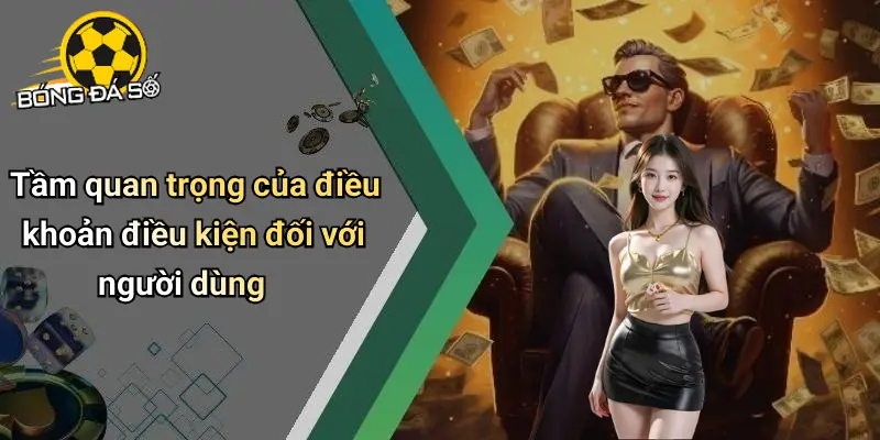 Điều Khoản Điều Kiện