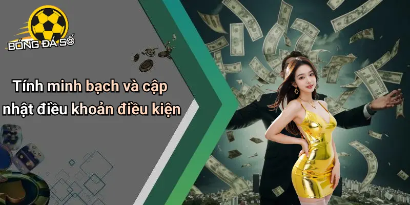 Điều Khoản Điều Kiện