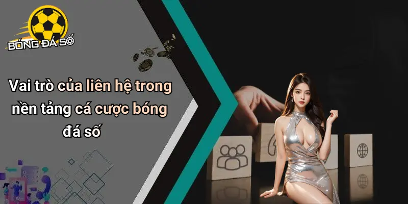 Liên Hệ