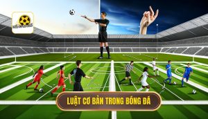 luật cơ bản trong bóng đá