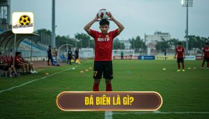 Đá biên là gì
