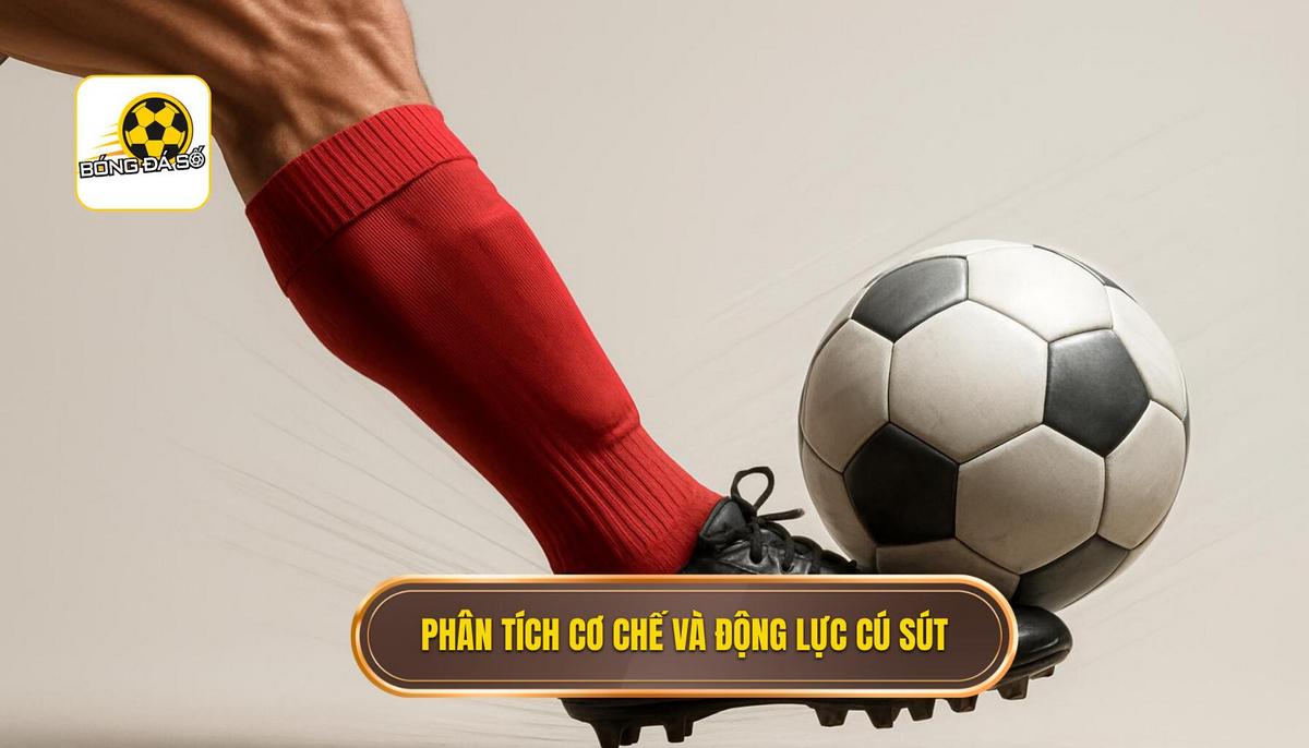 Phân tích cơ chế sinh học và động lực học của cú sút