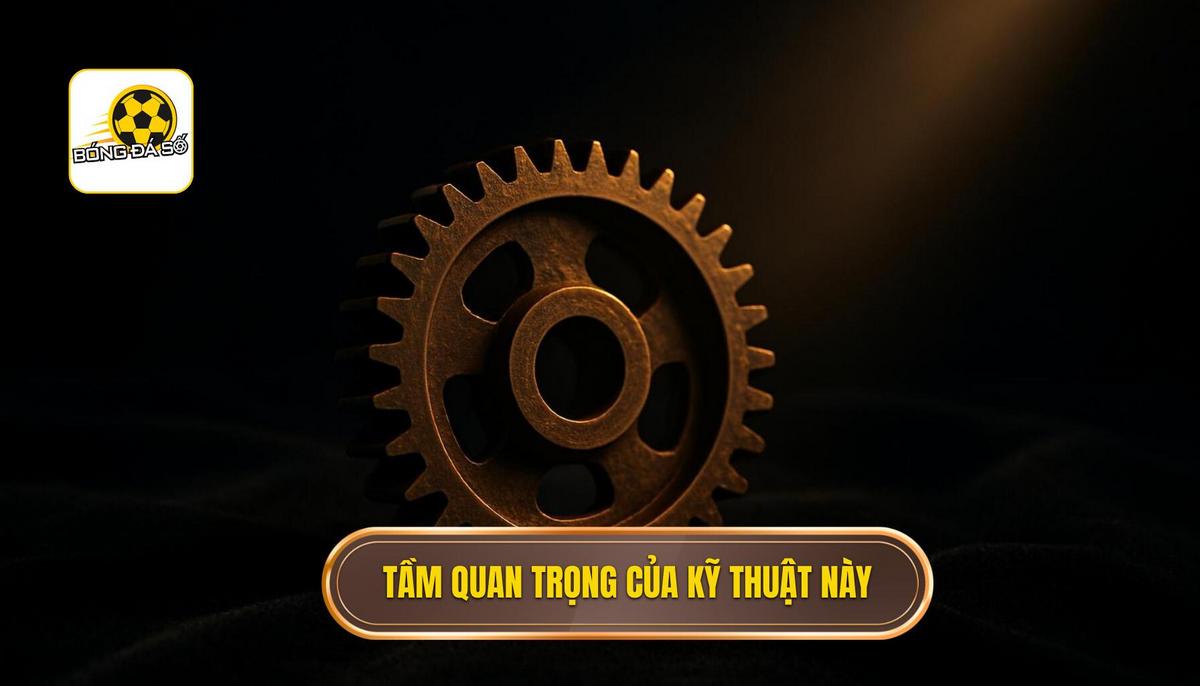 Tầm Quan Trọng Tuyệt Đối Của Kỹ Thuật Này